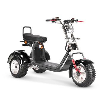 CP CROSS ELEKTRO-TRIKE 25-45 KMH, Neigbar